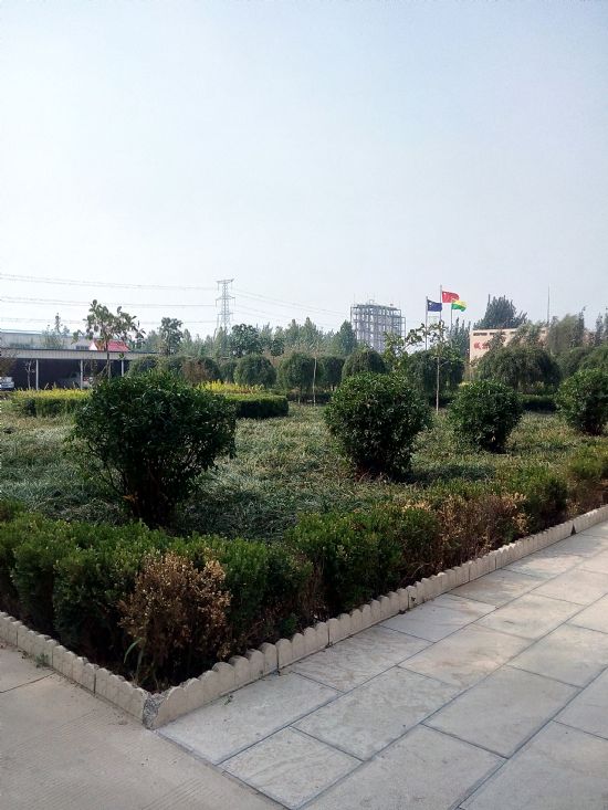 公司實(shí)景24